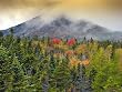 Autumn Abounds, Baxter State Park, Maine - Remarkable 16x20 Photographic Print by Brendan Reals