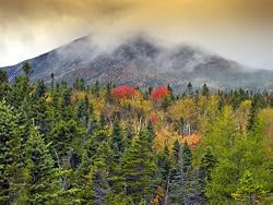 Autumn Abounds, Baxter State Park, Maine - Remarkable 16x20 Photographic Print by Brendan Reals