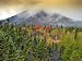 Autumn Abounds, Baxter State Park, Maine - Remarkable 16x20 Photographic Print by Brendan Reals