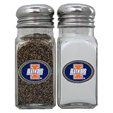 Illinois Fighting Illini NCAA Logo Salt/Pepper Shaker Set