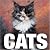 Cats (Cube Books)