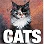 Cats (Cube Books)