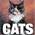 Cats (Cube Books)