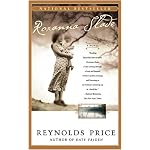 Roxanna Slade: A Novel book cover