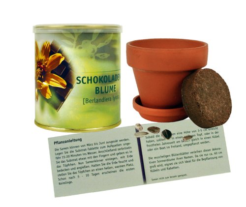 Childrens Toyshop  Spielwaren : Greenhouse Schokoblume