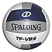 Spalding TF-VB5 Navy/Silver/White