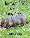 The Magnificent Seven Baby Foxes