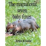 Themagnificentsevenbabyfoxes