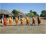 Photographic Print of Monks with begging bowls beneath saffron robes go out in the morning in... from Robert Harding