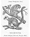 Photographic Print of MONGOOSE (BEWICK) from Mary Evans