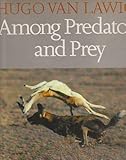 Among predators and prey