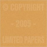 Passport Smooth Ginger 70# #10 Envelope 500/pack