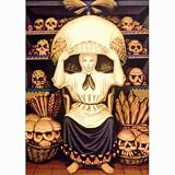 Heye Jigsaw Puzzle - Double Vision Skull by Octavio Ocampo -1000 pieces