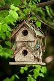 Twig Motif Wooden Birdhouse