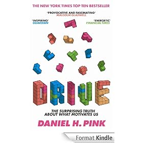 Drive: The Surprising Truth About What Motivates Us