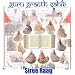 Siree Raag (Guru Granth Sahib - Essential Scripture of Sikhism - Adi Granth) (Spirituality and Sikhism)