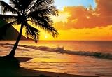 (100x144) Pacific Sunset Huge Wall Mural Art Print Poster