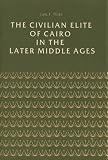 The civilian elite of Cairo in the later Middle Ages