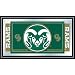 Colorado State University Mirror - 26x15