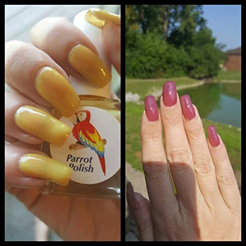 Parrot Polish Violet Dream (solar)