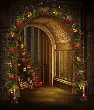 Christmas Photography Background