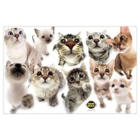 NAP'S Cat Placemat, In Your Face