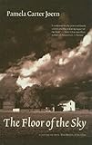 The Floor of the Sky (Flyover Fiction)