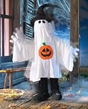 -Gary Ghost Animated Halloween Decoration by Winston Brands