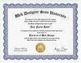 Web Designer Web Design Degree: Custom Gag Diploma Doctorate Certificate (Funny Customized Joke Gift - Novelty Item)