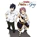 TVアニメ「FAIRY TAIL」キャラクターソングコレクション 「FAIRY TAIL」キャラクターソングコレクションVOL.1 ナツ&グレイ