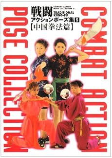 戦闘アクションポーズ集〈5〉中国拳法篇