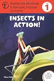 Insects in Action: (Level 1) (Amer Museum of Nat History Easy Readers)
