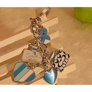 Limited Edition Beautiful Key Chain with Coach Logo Charms