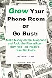 Grow Your Phone Room or Go Bust: Make Money on the Telephone and Avoid the Phone Room from Hell - An Insiders Essential Guide (Ebook)