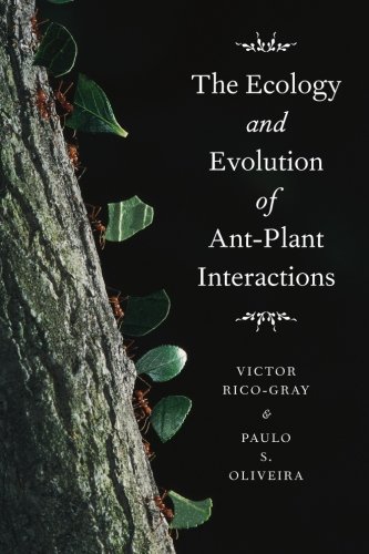 the ecology and evolution of ant plant interactions interspecific interactions