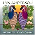 Secret Language of Birds