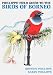Phillipps' Field Guide to the Birds of Borneo: Sabah, Sarawak, Brunei and Kalimantan