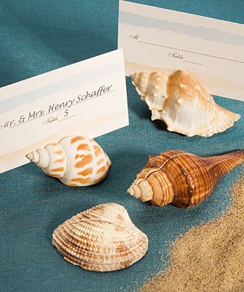 100 Shell Place Card Holders Beach Theme Wedding Favors