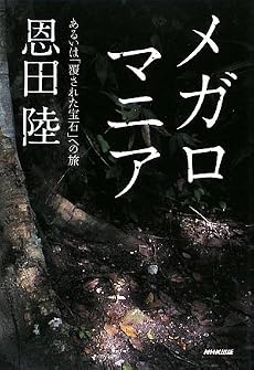 メガロマニア―あるいは「覆された宝石」への旅