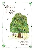 What's that tree?