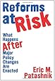 Reforms at Risk: What Happens After Major Policy Changes Are Enacted (Princeton Studies in American Politics: Historical, International, and Comparative Perspectives)