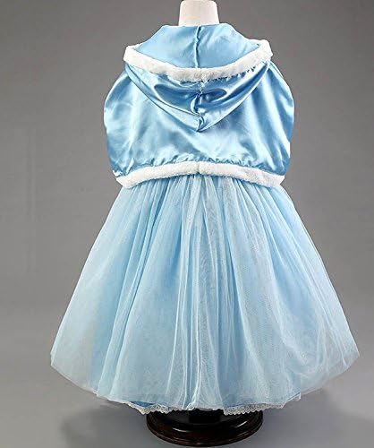 Oisk Girls Snow Queen Costume Queen Snow Party Princess Dress Blue (2-3 Years, Blue)