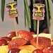 Painted Tiki God Food Picks (72)