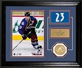 Milan Hejduk Colorado Avalanche Player Pride Desk Top