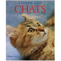 Agenda 2009 Chats