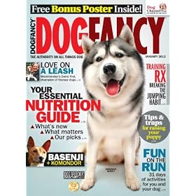 Dog Fancy (1-year auto-renewal)