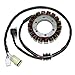 ElectroSport ESG941 Stator Yamaha YFM660 Grizzly - High Power
