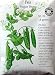 Peas Sugar Snap Certified Organic Seeds 85 Seeds