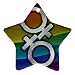 Star Ornament (2-Sided) of Gay Pride Rainbow Diamond Female Symbols Flag (Gay, Lesbian, Bi, Bisexual, Transexual, Transgender)