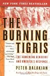 The Burning Tigris